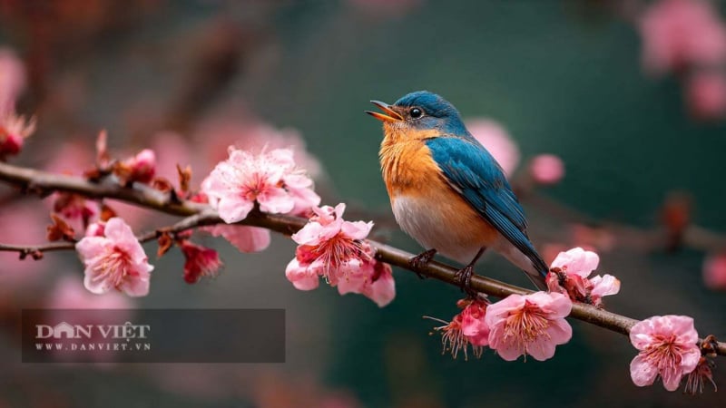 lap-xuan-2026-la-ngay-nao?-nen-lam-gi-trong-lap-xuan-2026-de-ca-nam-tai-loc,-may-man?