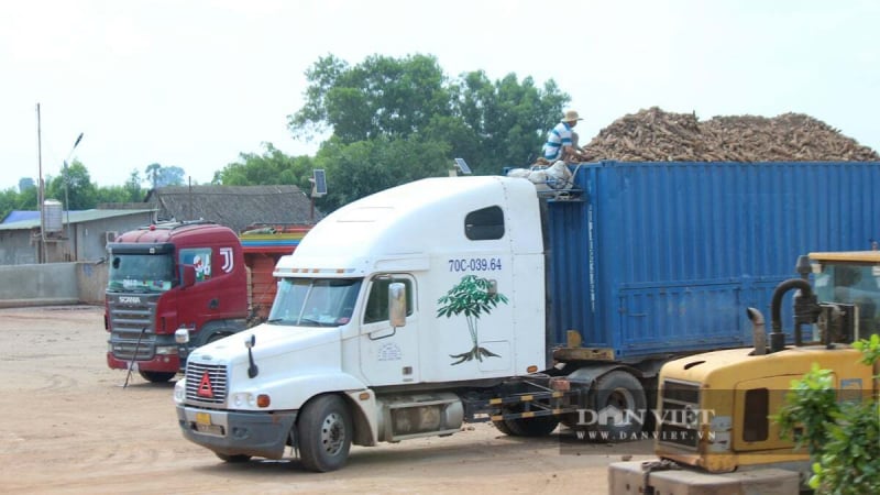 tam-dung-ap-dung-nghi-dinh-so-46-ve-an-toan-thuc-pham-den-het-ngay-15/4