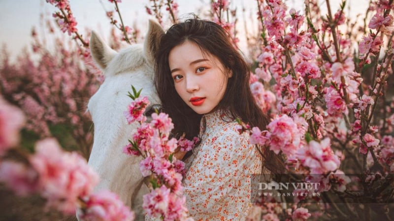 tu-vi-ngay-mai:-4-con-giap-tuong-ung-voi-4-mua-may-man,-kiem-tien-rat-nhanh,-it-gap-rac-roi