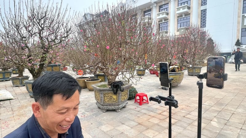 tieu-thuong-phu-tho-livestream-ban-dao-tet-chot-don-am-am