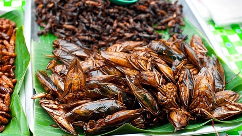 mon-dac-san-la”-trong-mam-tat-nien-khien-nguoi-dan-ong-cau-cuu-bac-si