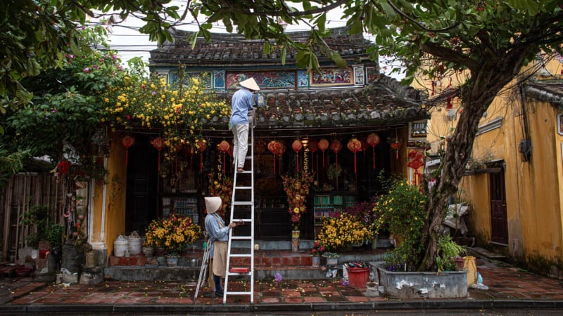 don-nha-don-tet,-bac-si-mach-tuyet-chieu-bao-ve-xuong-khop,-song-lung