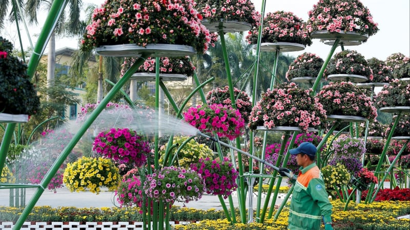 nhung-nguoi-mang-sac-xuan-ruc-ro-cho-tp.hai-phong