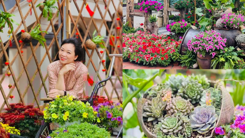 ngoi-chua-co-kinh-o-hung-yen-dep-tua-resort,-hut-nguoi-dan-chup-anh,-cau-may-ngay-dau-nam-moi