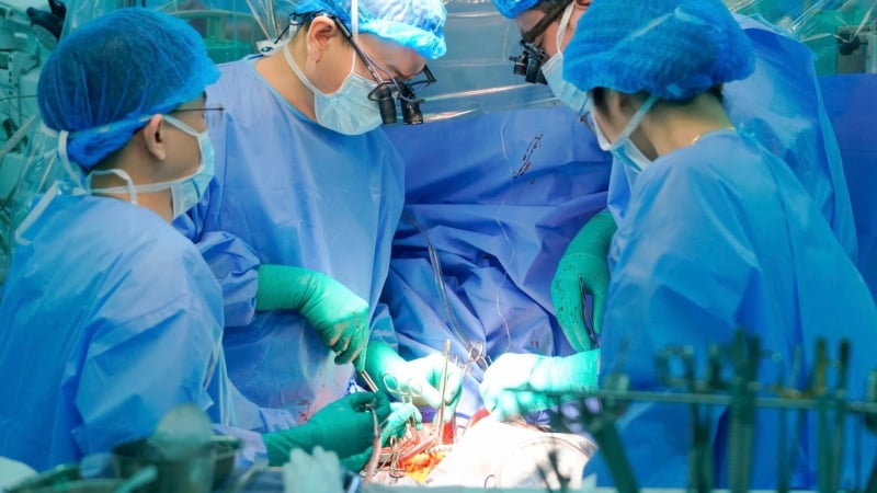 toi-tin-con-se-vui-khi-duoc-giup-do-nguoi-khac,-ngay-ca-khi-khong-con-nua