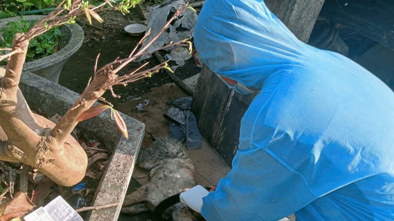 lien-tiep-phat-hien-o-dich-dai-o-mien-nui-phia-tay-tp.da-nang