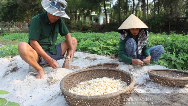 cach-bao-quan-cu-nen-don-gian,-hieu-qua,-chi-em-noi-tro-nen-biet
