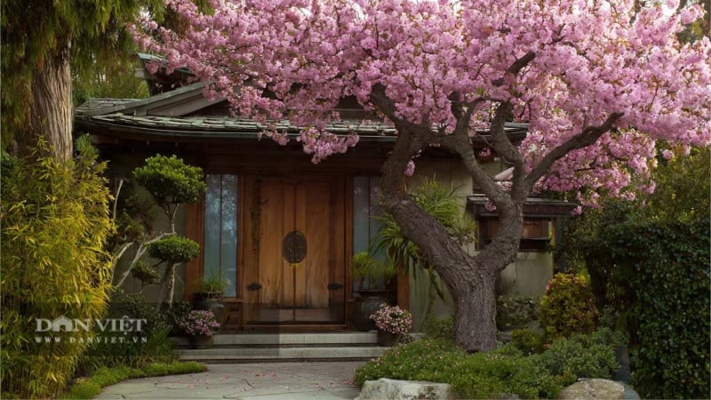 nguoi-xua-dan:-nha-co-3-khong,-gia-dinh-khong-ngheo-cung-tung