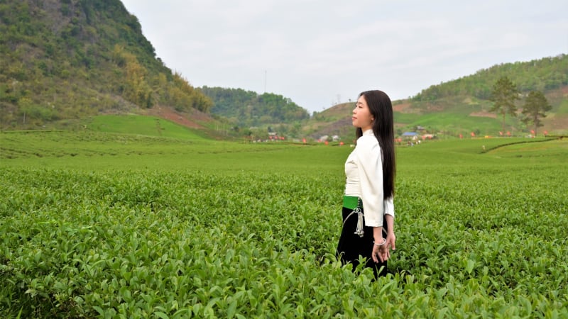 doi-che-duoi-chan-deo-pha-din-huyen-thoai,-diem-dung-chan-tren-hanh-trinh-kham-pha-tay-bac