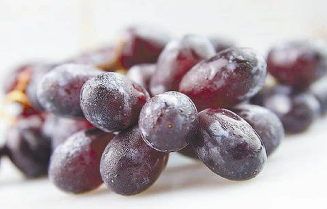 loai-qua-quen-thuoc-de-dinh-thuoc-tru-sau,-thay-ban-nhieu-o-cho-nhung-dung-mua-voi