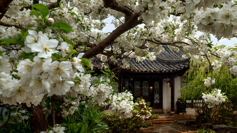 nguoi-xua-dan:-tiet-xuan-phan-tranh-lam-3-viec,-may-man-tran-day,-xui-xeo-tranh-xa