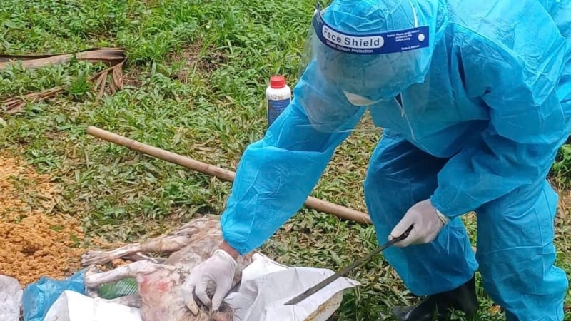 cho-dien-dut-xich-can-3-nguoi-o-mien-nui-da-nang