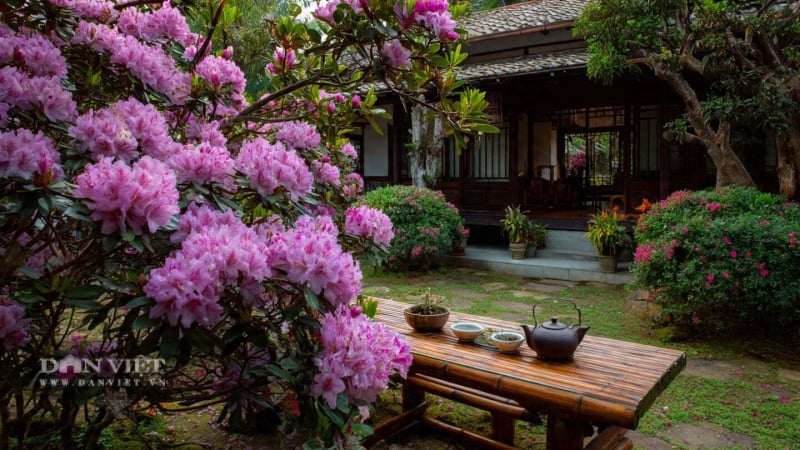 nguoi-xua-dan:-cua-chinh-khong-nhin-3-vat,-cua-so-khong-huong-4-noi,-gia-dinh-binh-an,-sung-tuc