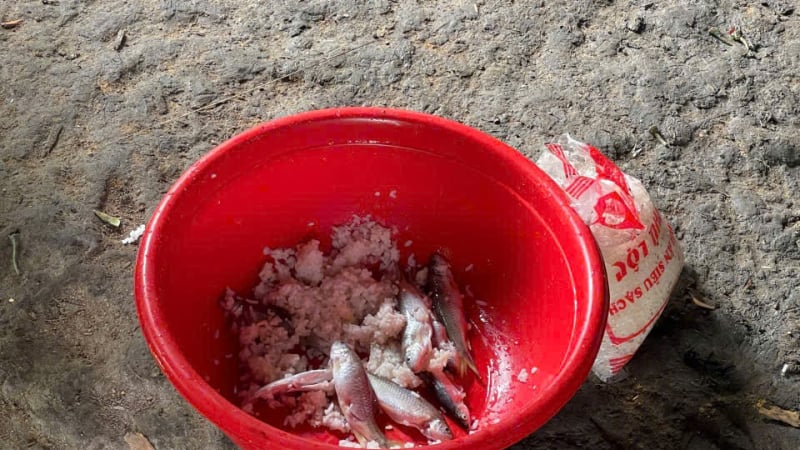 ngo-doc-nguy-hiem-tu-ca-u-chua,-da-nang-ra-chi-dao-quan-trong-nay