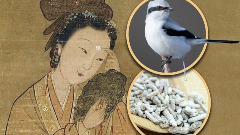 vi-sao-tu-hi-thai-hau-dung-phan-chim-duong-da,-uong-sua-me-de-giu-xuan?