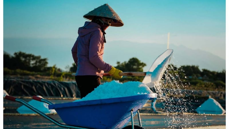 ve-dep-lao-dong-giua-sa-mac-trang-ninh-diem-(khanh-hoa)