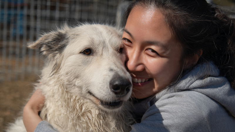 hiem-gap:-nhiem-cung-luc-nhiem-5-loai-giun-san-cho,-meo,-luon,-lon-tu-thoi-quen-nhieu-nguoi-mac