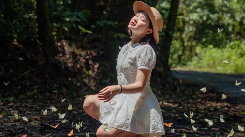 san-buom-vuon-quoc-gia-cuc-phuong:-vu-khuc-cua-nhung-nang-tien-canh-mong