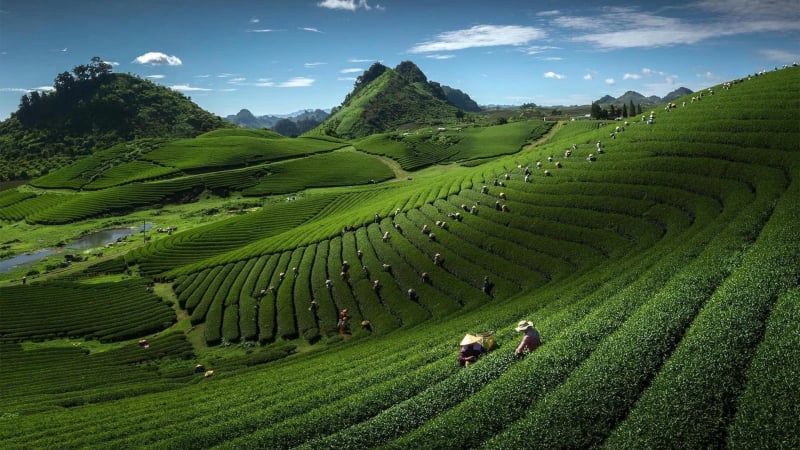 nhung-dia-diem-du-lich-o-son-la-da-den-la-phai-check-in