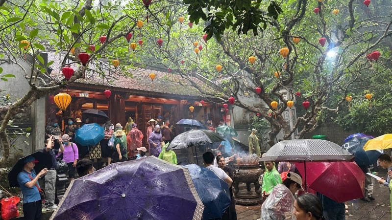 mua-to,-dong-nguoi-van-noi-nhau-ve-den-hung-dang-huong