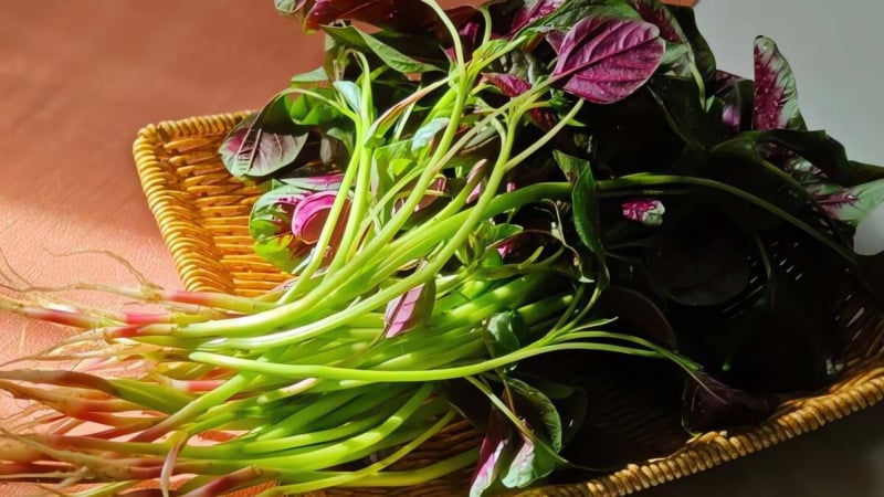 loai-rau-dan-da-re-tien-lai-la-vua-sat,-kho-canxi,-tot-xuong,-bo-mau,-thanh-mat,-giai-nhiet