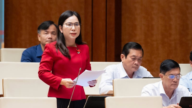 dai-bieu-ca-mau-de-xuat-ho-tro-tien-dai-han-gia-dinh-sinh-con-va-nuoi-con-nho