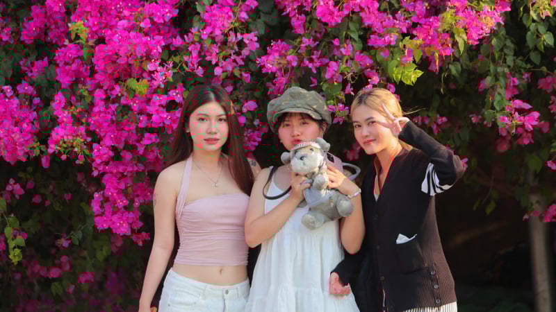 hoa-giay-no-ruc-ro-giua-he,-cuon-hut-gioi-tre-o-nha-trang