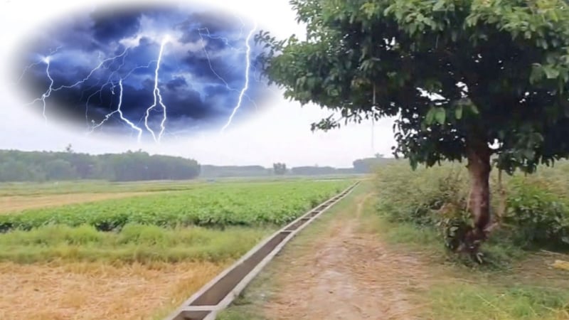 gap-mua-dong,-tru-duoi-goc-cay-ngoai-dong,-1-nguoi-dan-o-quang-ngai-bi-set-danh-tu-vong