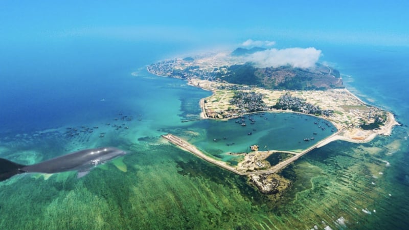 truoc-them-tet-doc-lap,-ca-heo-xuat-hien-tai-khu-vuc-bien-gan-bo-o-dao-ly-son