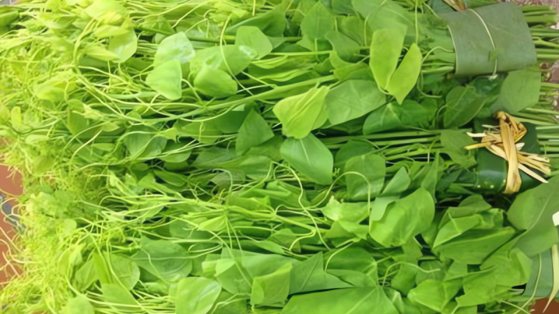 loai-rau-dai-duoc-vi-nhu-vang-xanh,-ngon-ngot-hon-ca-thit,-van-nguoi-me