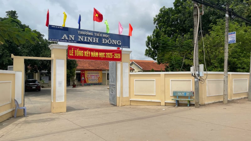 tay-ninh:-hoc-sinh-lop-5-bi-ban-hoc-dung-keo-tac-vao-dau-phai-nhap-vien-cap-cuu