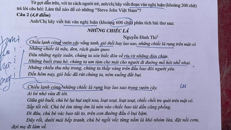 de-thi-tot-nghiep-thpt-mon-van-2026:-giao-su-tre-nhat-viet-nam-nam-2020-dua-goc-nhin-dang-chu-y