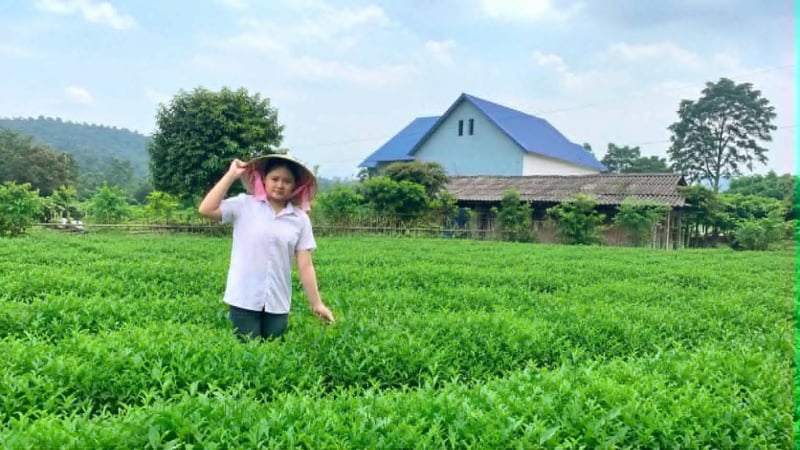 bai-du-thi-ngay-mai-trong-mat-em:-vi-chat-cua-bao-giong-va-mam-ngot-cua-ngay-mai