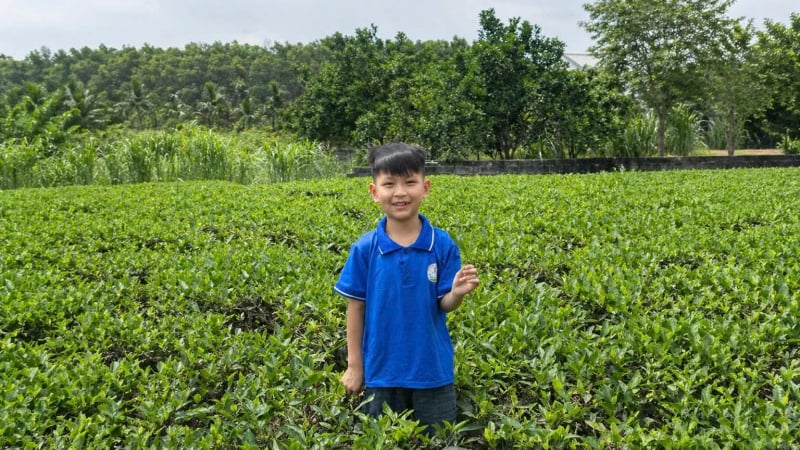bai-du-thi-ngay-mai-trong-mat-em:-muon-lam-ky-su-dua-che-vo-tranh-ra-khap-the-gioi