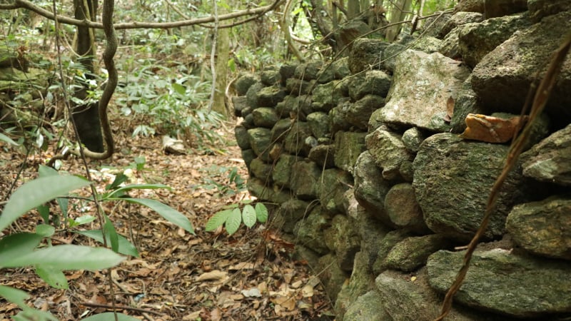 giai-ma-buc-tuong-da-dai-150m-va-vong-gac-bi-mat-vua-phat-lo-o-hang-da-sap-tp-da-nang