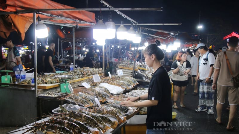 cho-dem-noi-tieng-bac-nhat-da-nang-bi-phan-anh-nghi