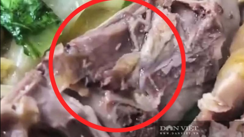 vu-doi-trong-mon-ga-o-dak-lak:-de-xuat-dinh-chi,-xu-phat-va-thu-hoi-giay-phep-kinh-doanh-nha-hang