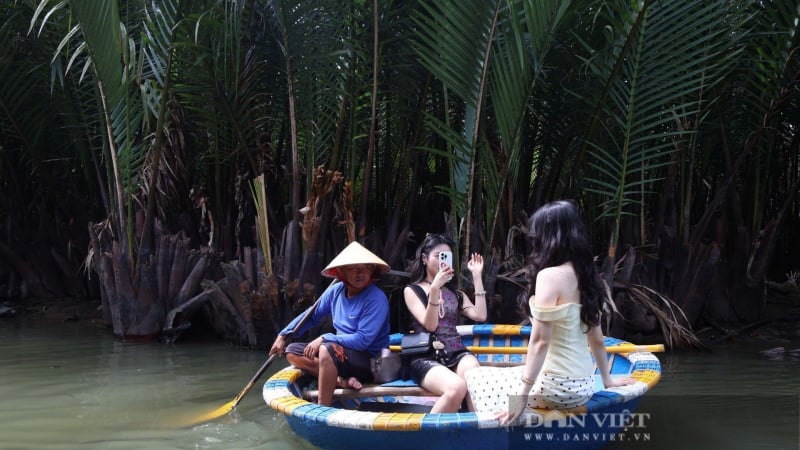 rung-dua-bay-mau-hut-khach-nho-nhung-trai-nghiem-dam-chat-song-nuoc