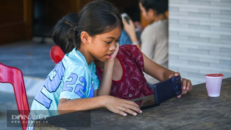 da-nang:-100%-truong-hoc-va-doanh-nghiep-internet-phai-tham-gia-la-chan-bao-ve-tre-em-tren-mang