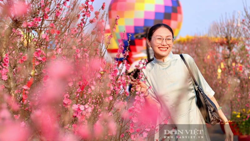 dong-y-phuong-an-nghi-tet-nguyen-dan-2027-dai-7-ngay