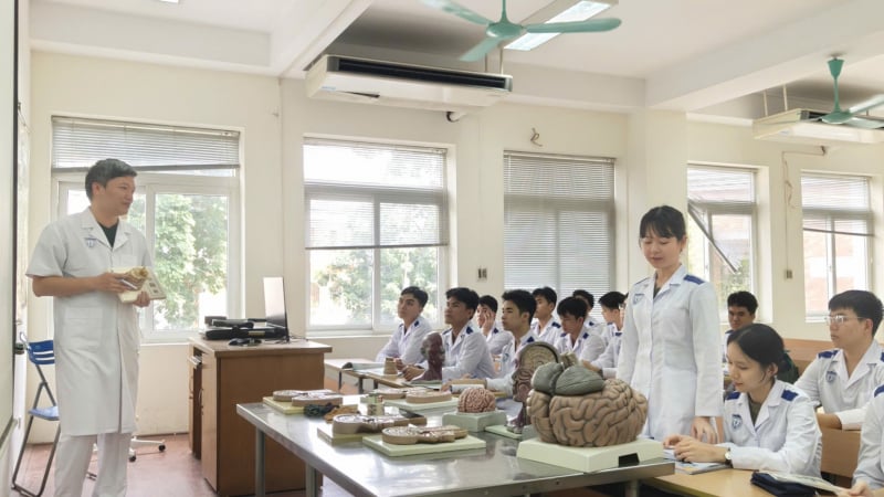 bo-mon-giai-phau:-mon-hoc-khien-sinh-vien-nam-nhat-nganh-y-tu-so-hai-den-biet-on
