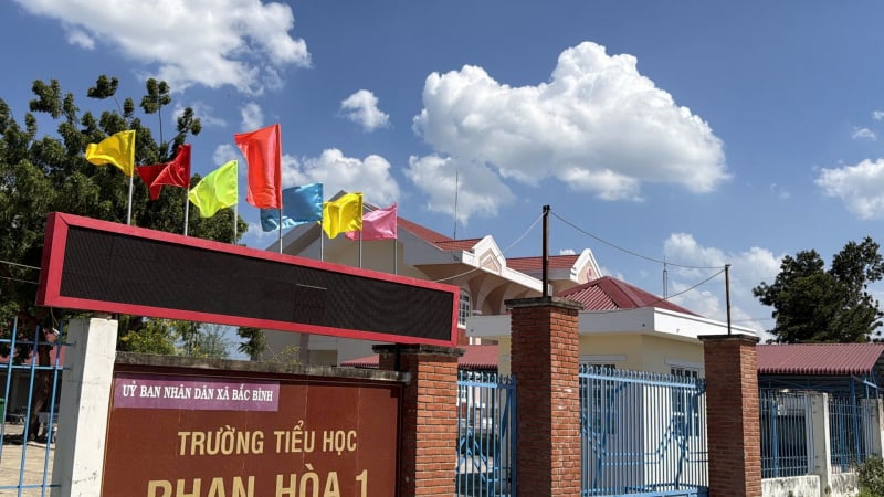 vi-sao-nu-hieu-truong-tieu-hoc-o-lam-dong-tu-nguyen-xin-tro-lai-lam-giao-vien?